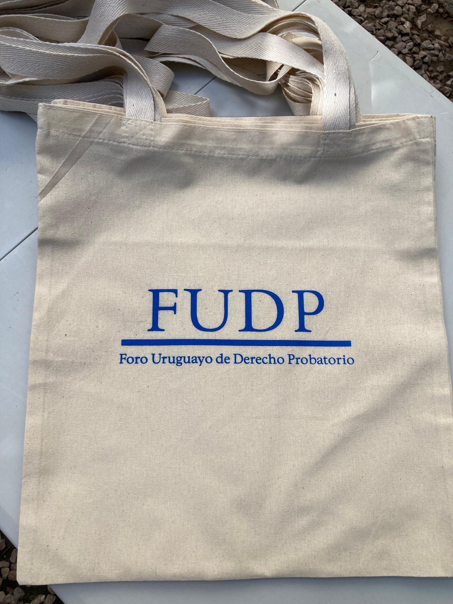 Tote Bag Basica Lienzo